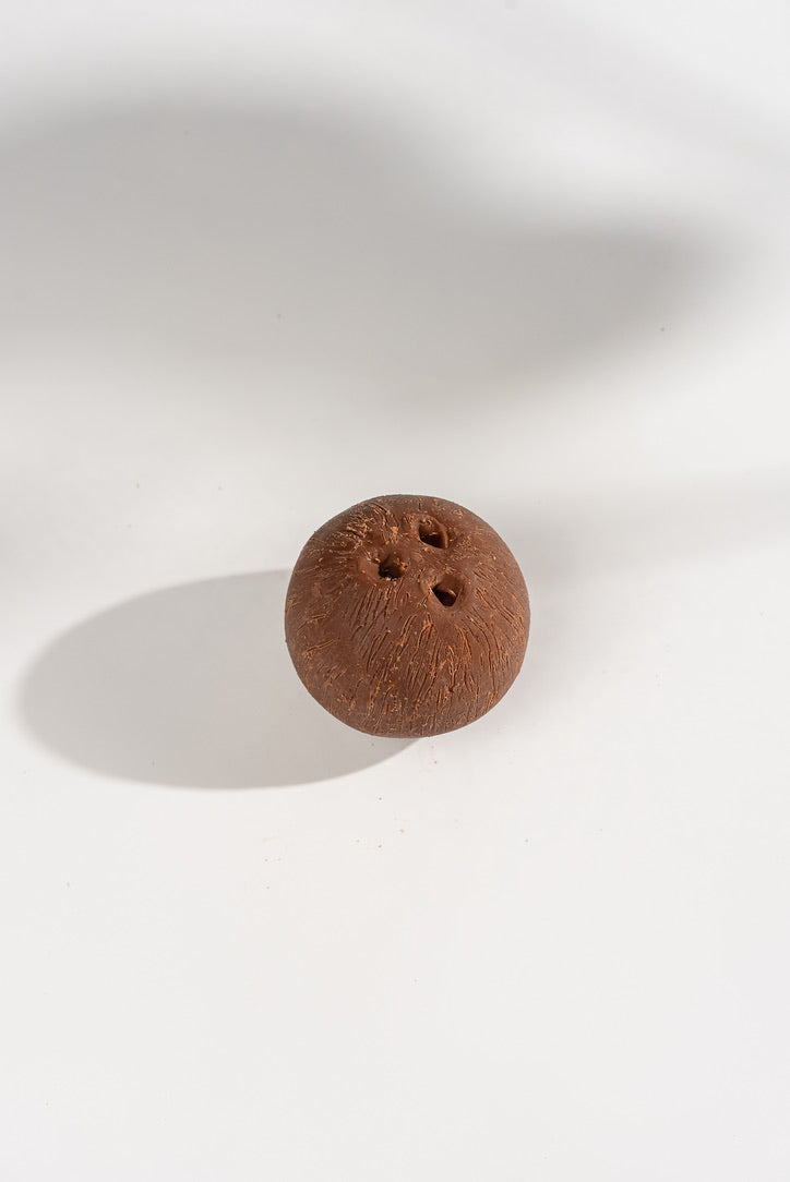 Coconut