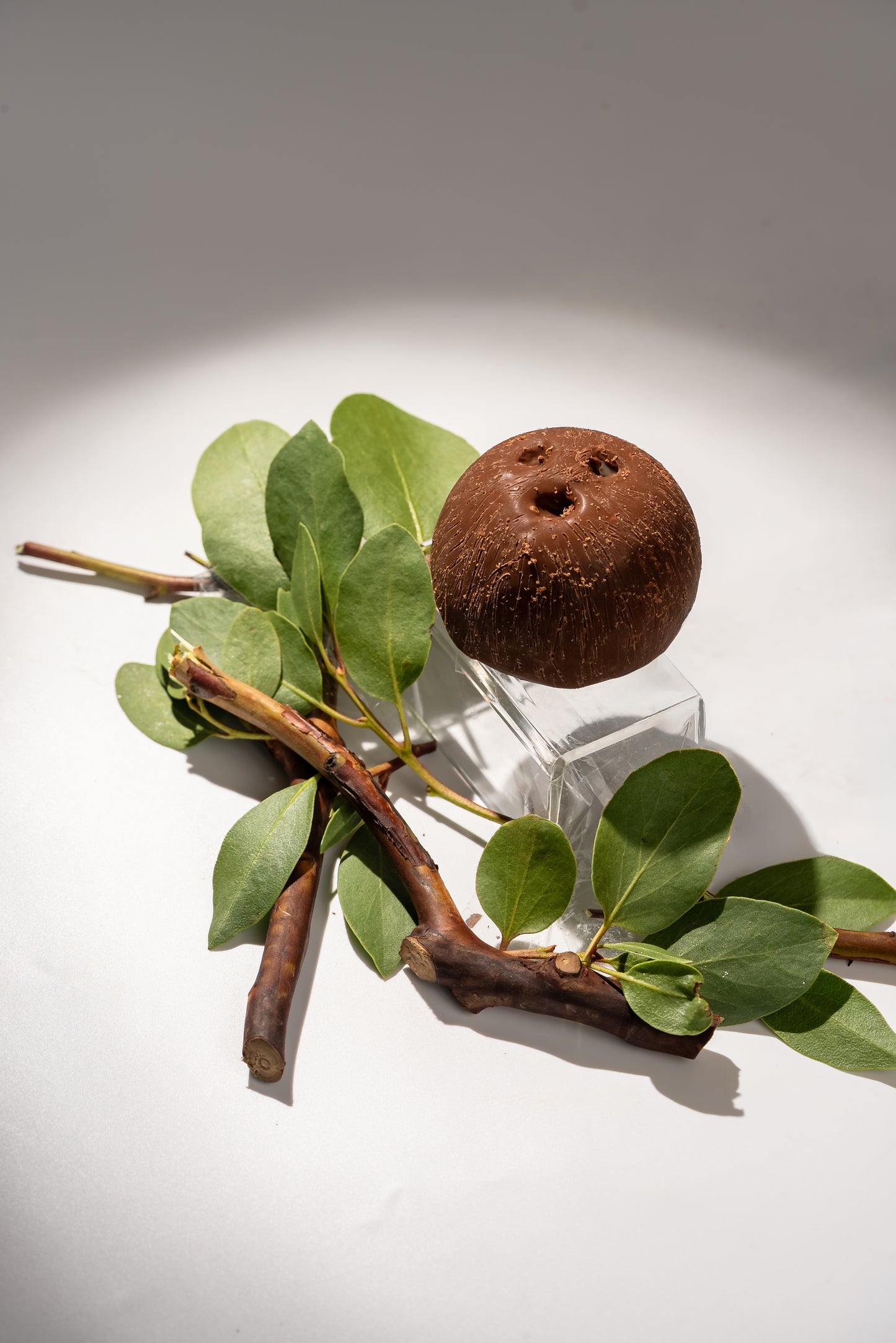 Coconut