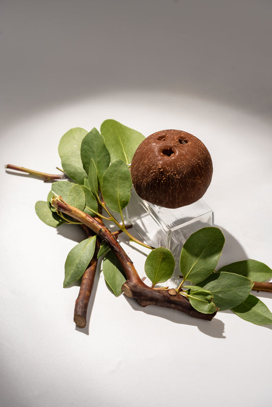 Coconut